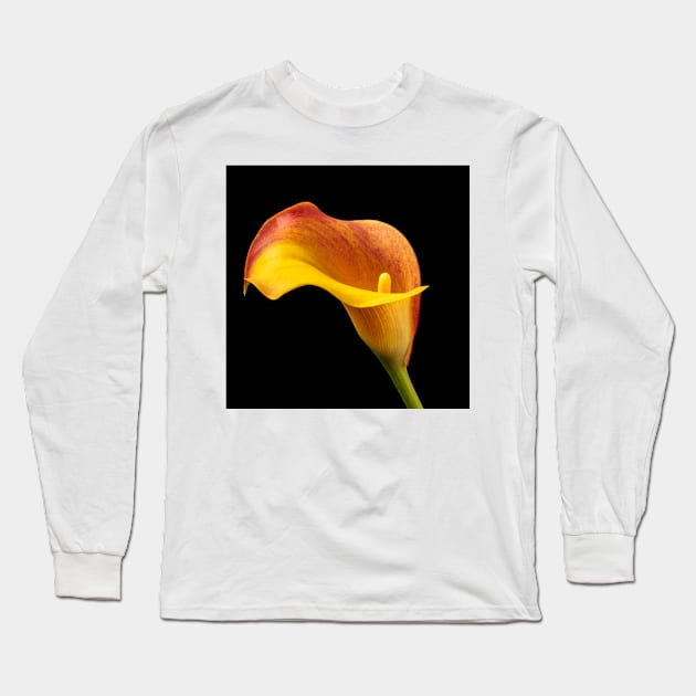 Single Red And Yellow Calla Lily Long Sleeve T-Shirt by photogarry